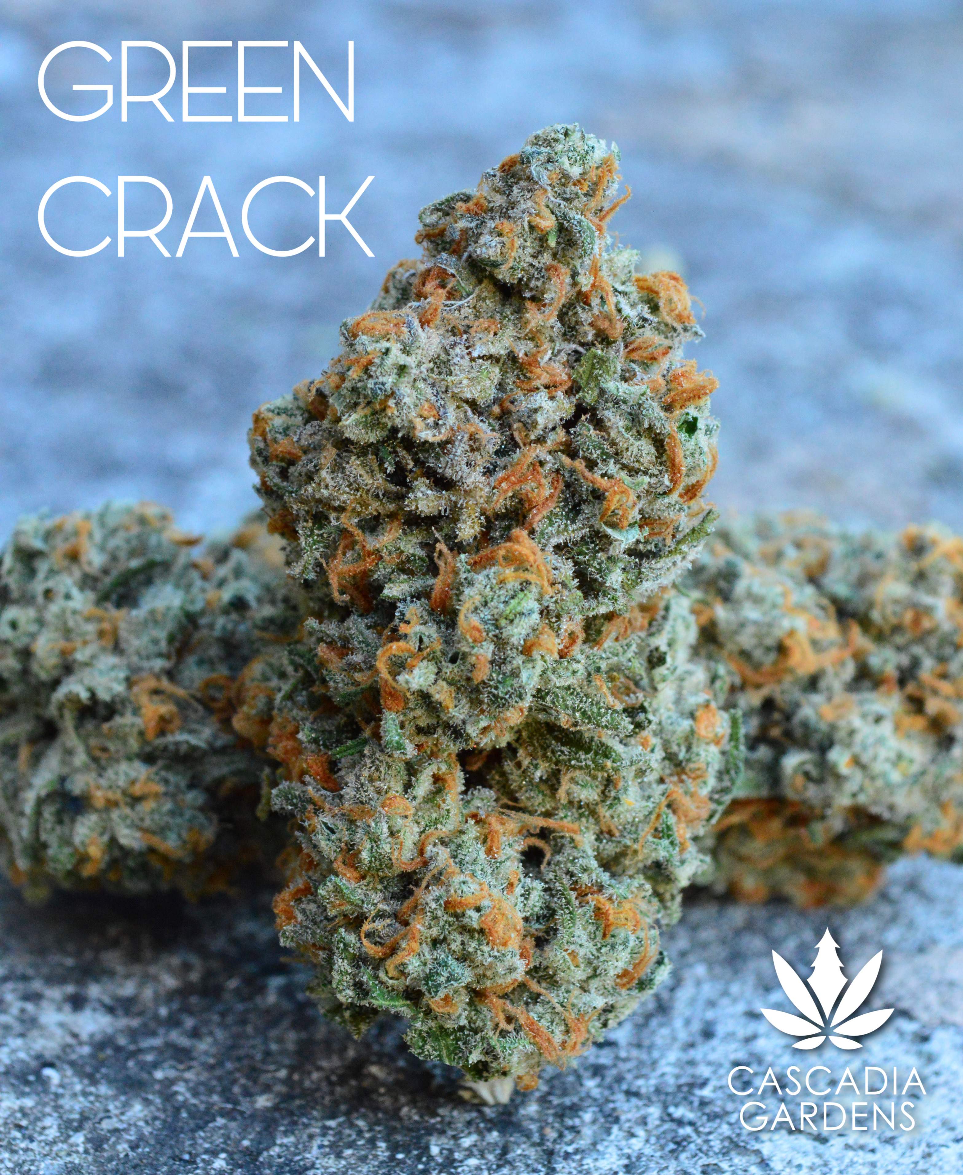 Green Crack - S