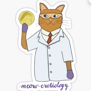 Orange Cat Meowcrobiologist Sticker