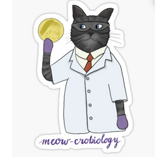 Gray Cat Meowcrobiologist Sticker