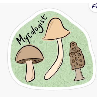 Mycologist Sticker