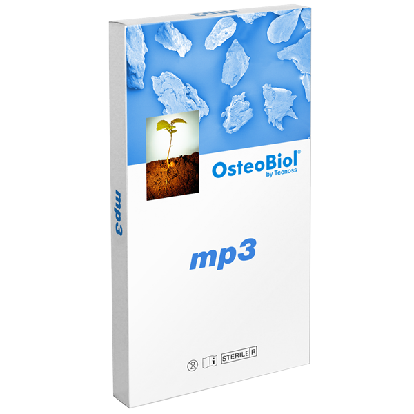 MP3 Main Image