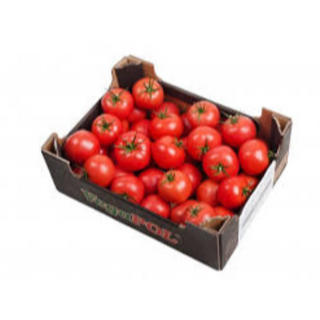 Tomatoes Medium Class 1,6kg