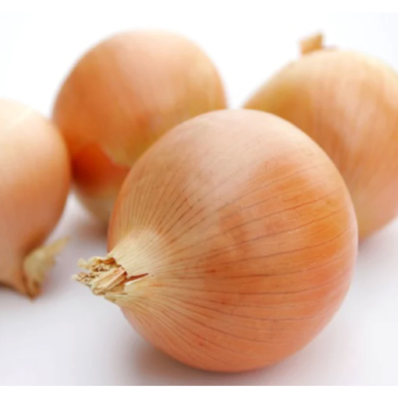 Onion Medium Class 1, 10kg Main Image