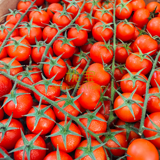 SPAIN Cherry Tomato (500g)