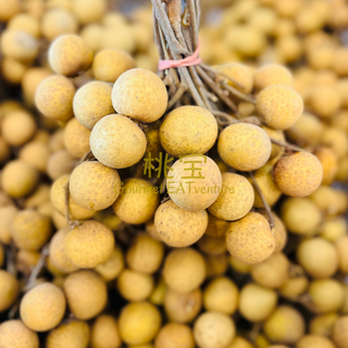 THAILAND Longan (1kg)