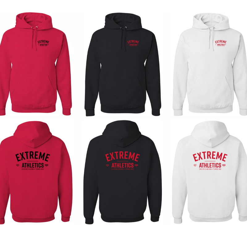 Est. 2000 Hoodie: New Design YOUTH Main Image