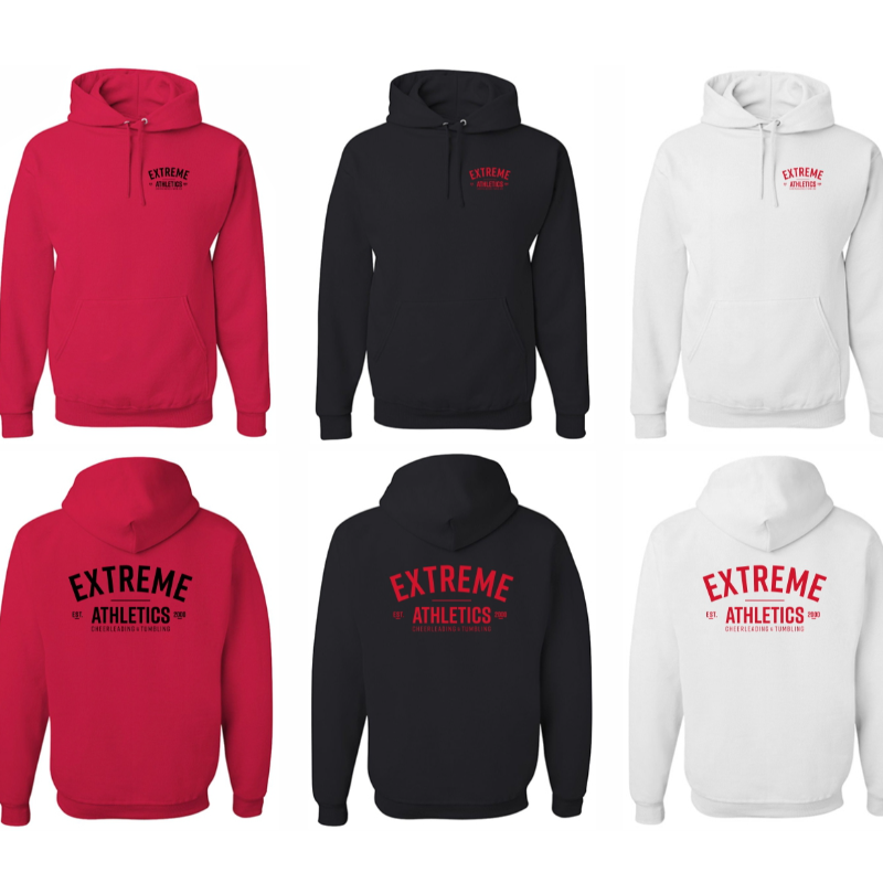 Est. 2000 Hoodie: New Design UNISEX Main Image