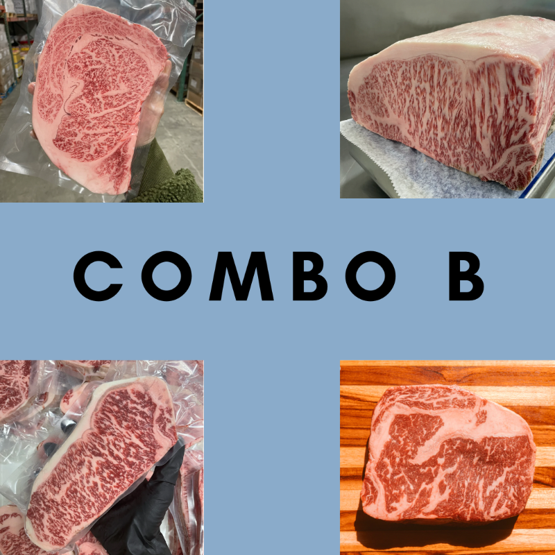 Combo B