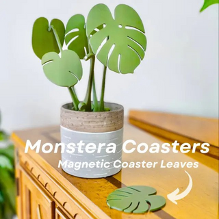 Monstera Coaster Set