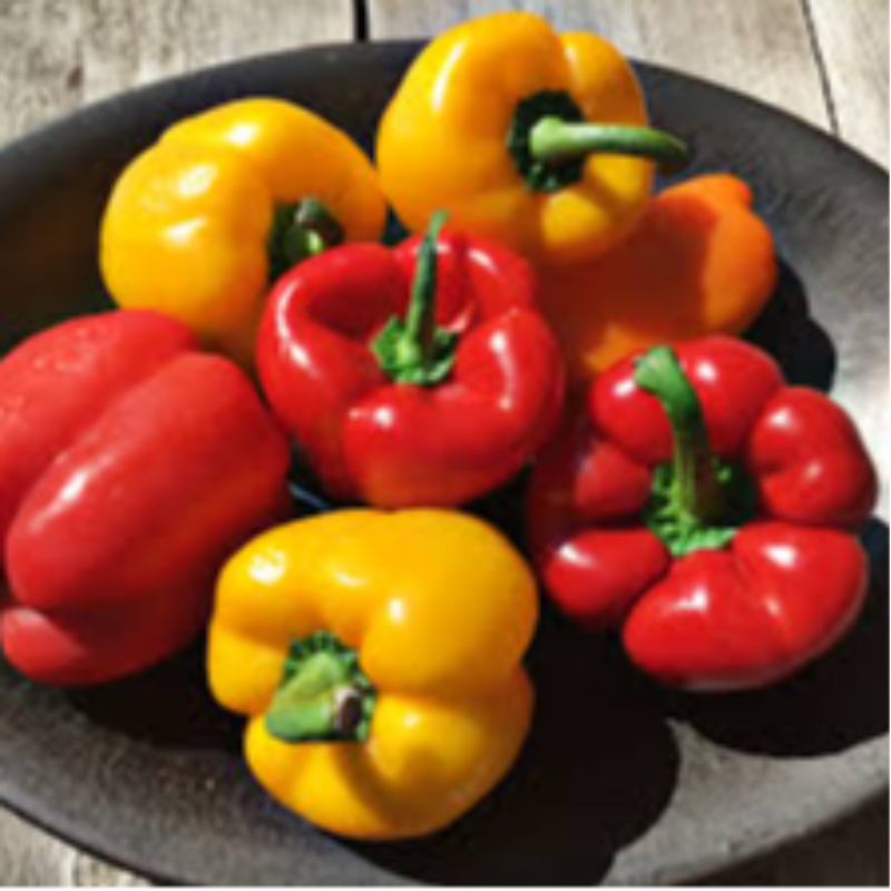 Red/Yellow Pepper Mix