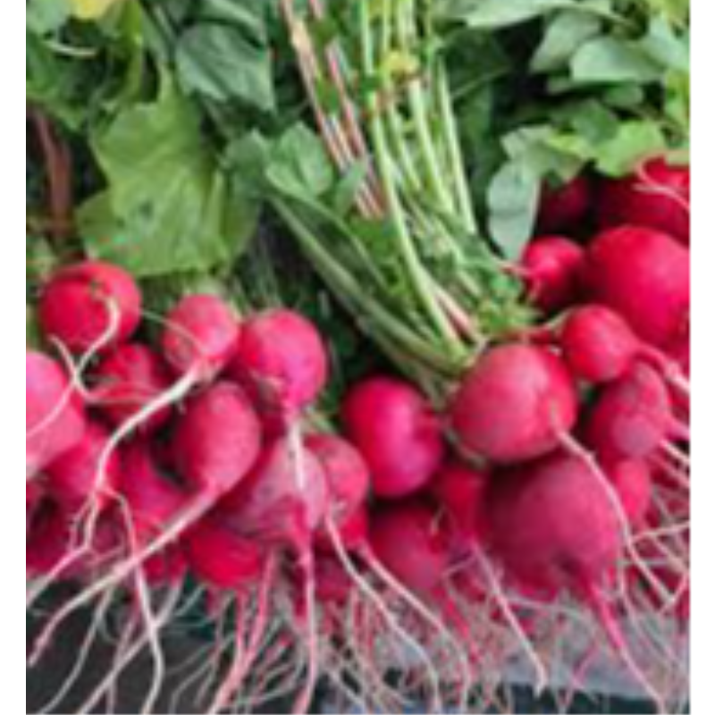 Radishes red 100g by Balmoral farm