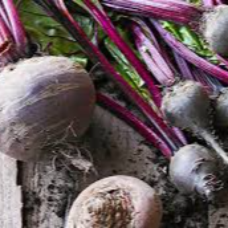 Beetroot