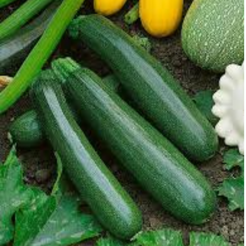 Courgette/Baby Marrow 250g by Dew Fresh
