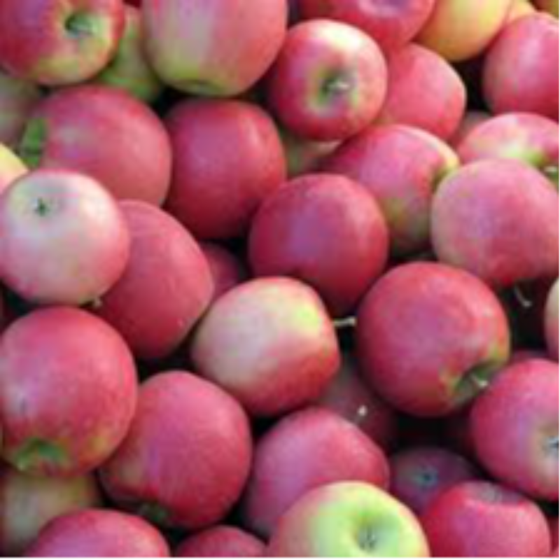 Apples Pink Lady pack of 6 by Dew Fresh