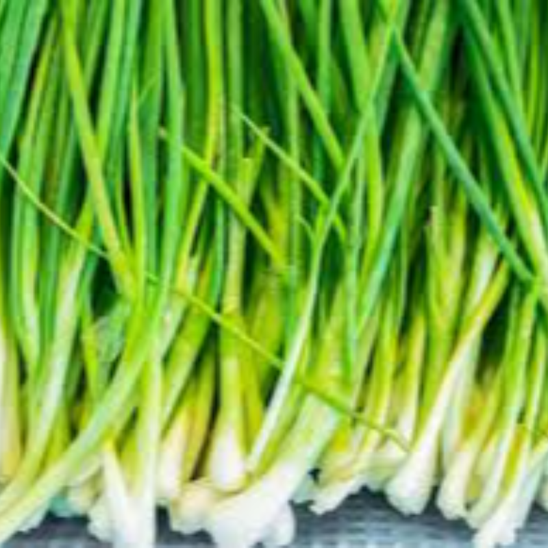 Spring onion sleeve 100g