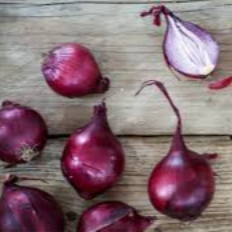 Red Onion sock of 4 by Dewfresh