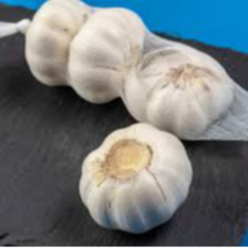 Garlic Sock pack of 4 by Dew Fresh