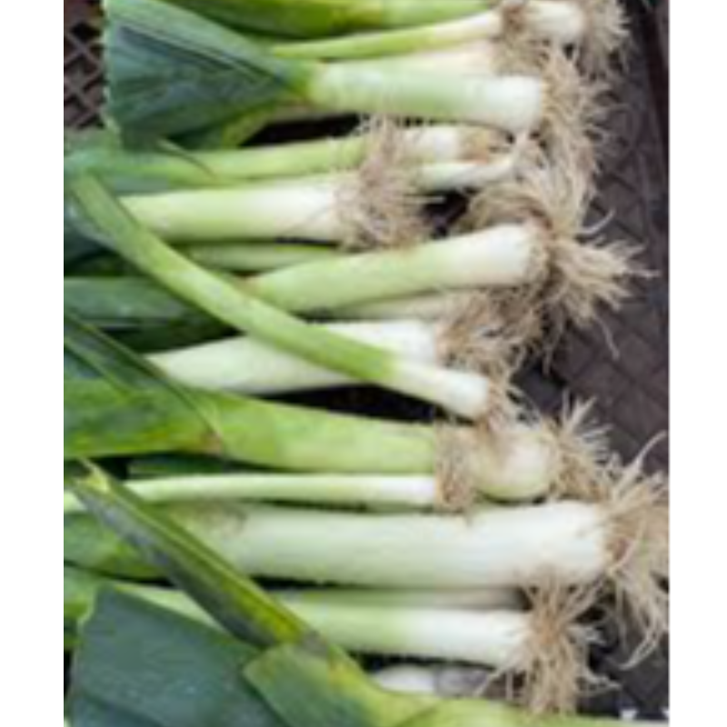 Leeks pre packed 250-300g by Dew Fresh
