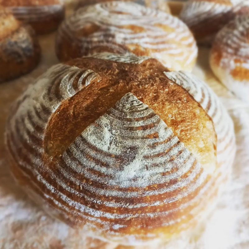 Oakley Green Bakery White Soudough