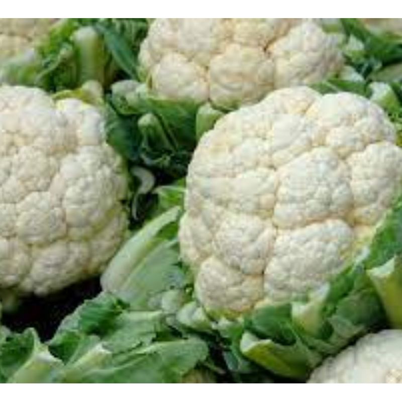 Cauliflower Main Image