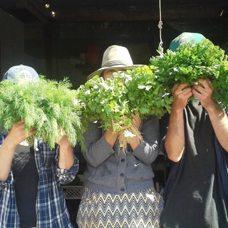 Fresh Herb Bundles