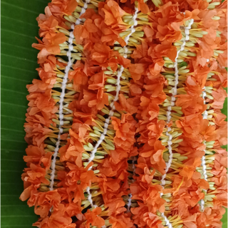 Kanakambaram String - 3 Ft