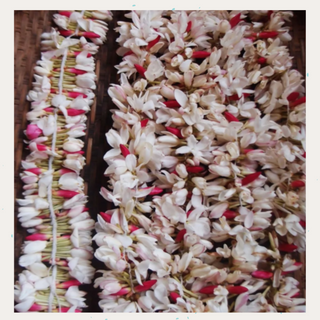 Jathi Malli String - 3 Ft