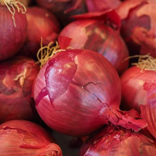 Bawang Besar Merah (Red Onion)