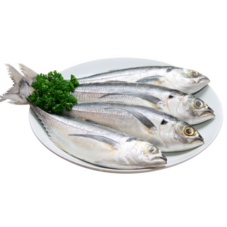 Fresh Ikan Cencaru / Hardtail Scad Fish (±500g)