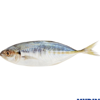 Fresh Ikan Selar / Yellowtail Scad Fish (±500g)