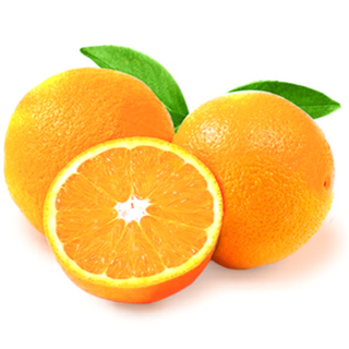 Oren (valencia oranges)