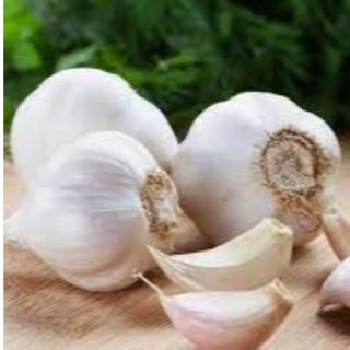 Bawang Putih (Garlic)