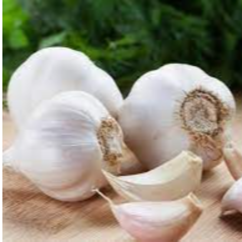 Bawang Putih (Garlic) Main Image