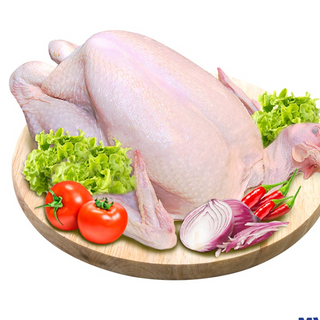 Ayam Frozen Whole Chicken *Halal Certified* (1.4-1.6kg±)