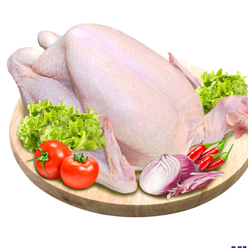 Ayam Frozen Whole Chicken *Halal Certified* (1.4-1.6kg±) Main Image