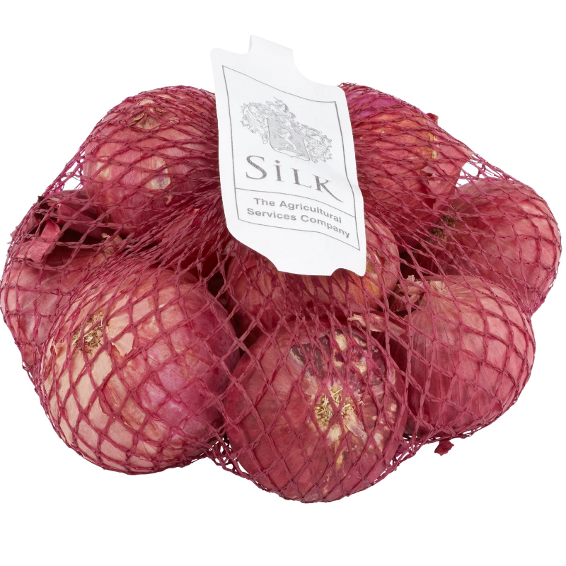 Red Big Onion (500g) Packet Main Image