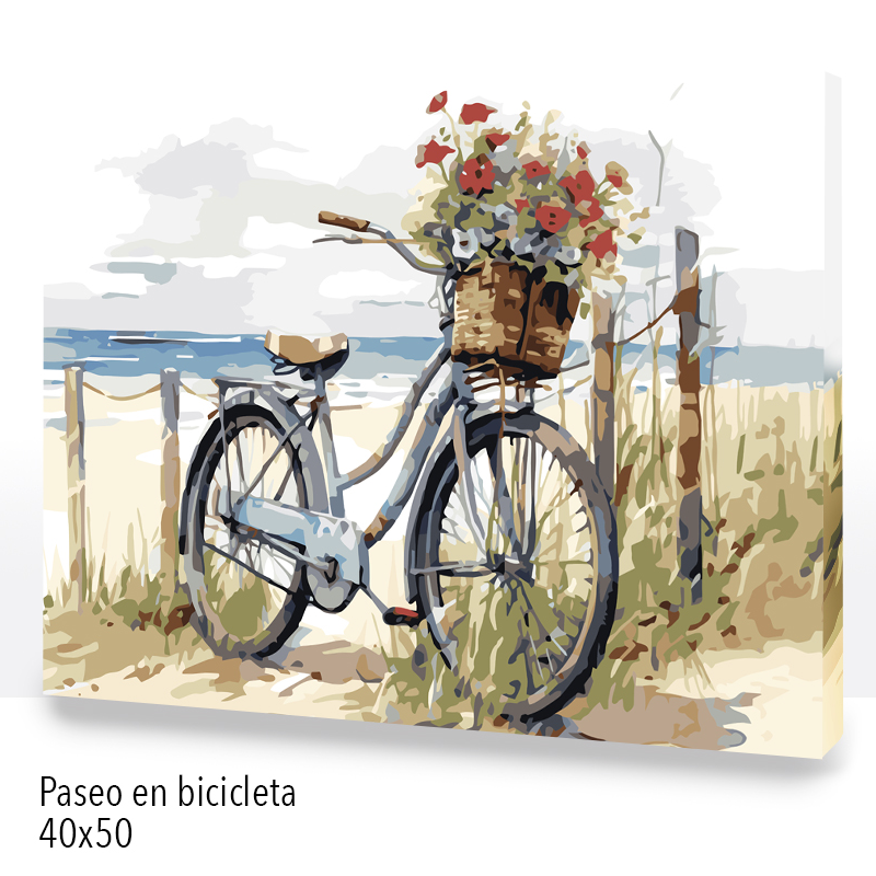 Kit Paint by numbers 40x50 Paseo en bicicleta| WC2568