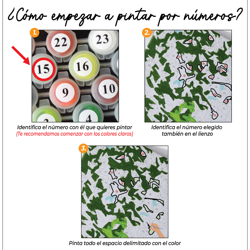 Kit Paint by numbers 30x40 Renacer brillante | WC7014