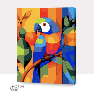 🎨Kit Paint by numbers con bastidor 30x40cm: Canto libre | WC5526 ✨ NEW✨