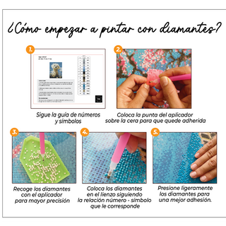 Kit Diamond Painting con bastidor 30x40 Taylor brillante | WDF1205