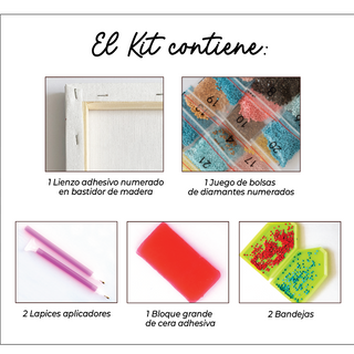 Kit Diamond Painting con bastidor 30x40 Taylor brillante | WDF1205