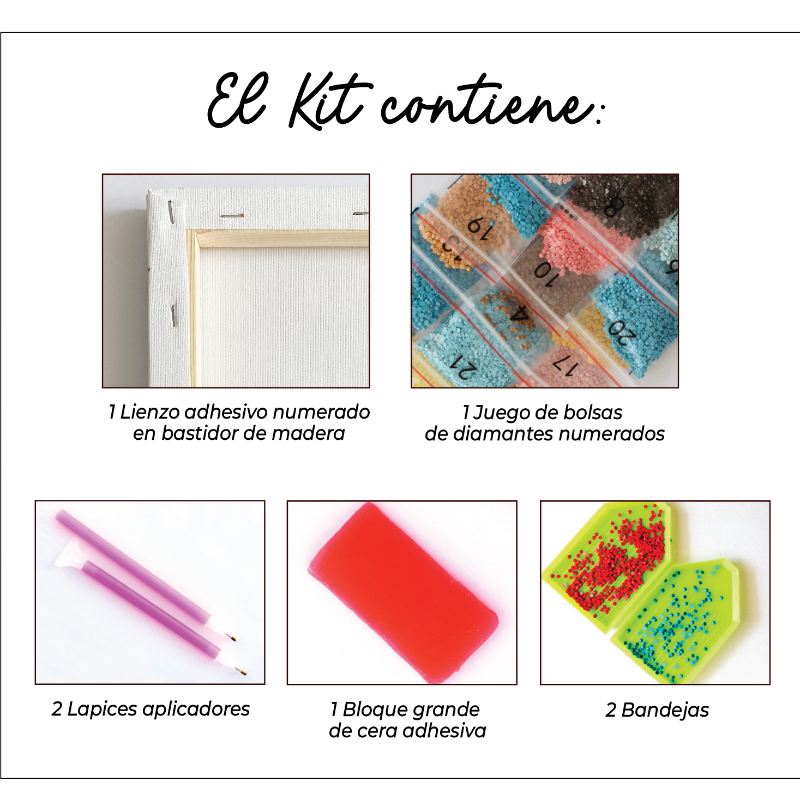 Kit Diamond Painting con bastidor 30x40 Taylor brillante | WDF1205