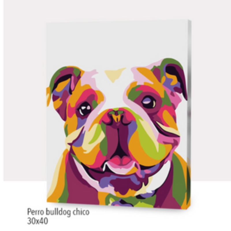 🎨Kit Paint by numbers con bastidor 30x40cm: Perro bulldog chico | WC7024✨ NEW✨