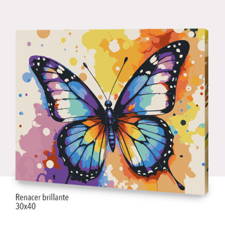 Kit Paint by numbers 30x40 Renacer brillante | WC7014