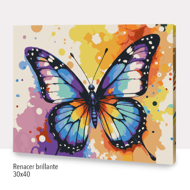 Kit Paint by numbers 30x40 Renacer brillante | WC7014