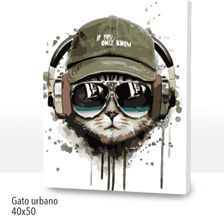 🎨Kit Paint by numbers con bastidor 40x50cm: Gato urbano | WC2584