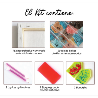 Kit Diamond Painting con bastidor 30x40 Noche estrellada - Van Gogh | WDF1912