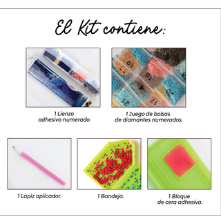 Kit Diamond Painting sin bastidor 35x45 Ramo perfecto | WD1616