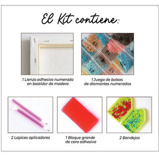 Kit Diamond Painting con bastidor 30x40 El principito II | WDF1612