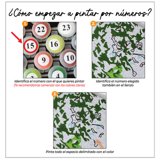 Kit Paint by numbers 50x65 Vida ideal | WG2502